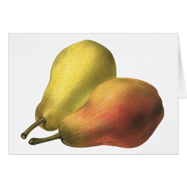 Poires Vintage, Aliments Biologiques, Fruits Mûrs (Devant horizontal)