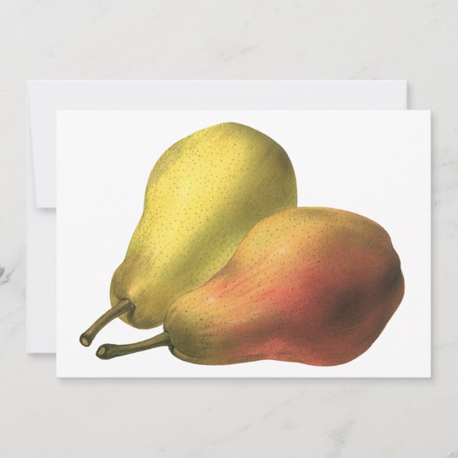 Poires vintages, Aliments Bio, Fruits Ripe (Devant)