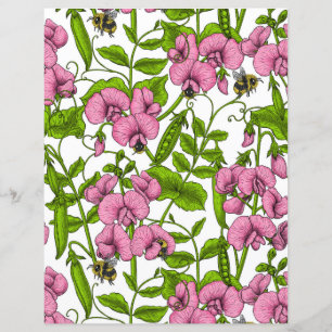 Pois de senteur et bourdons, rose, vert et blanc