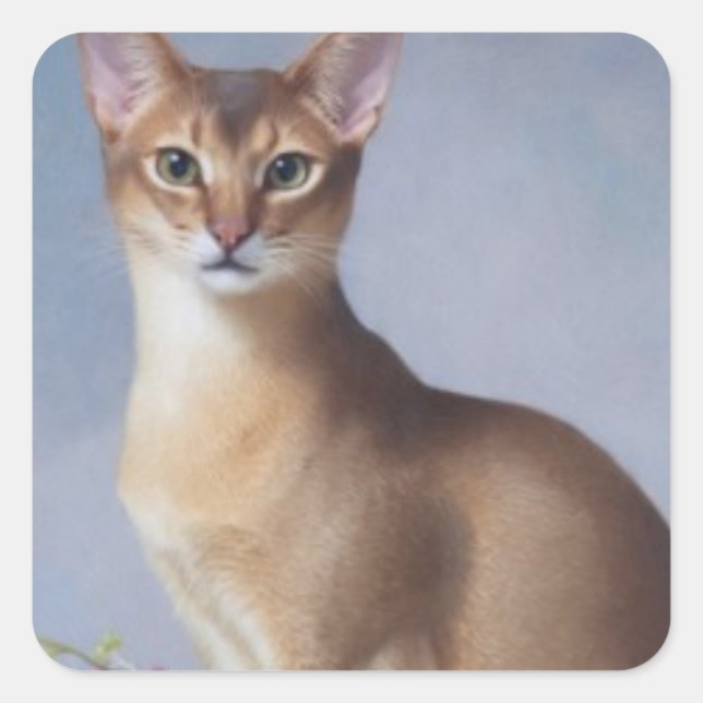 Poised Abyssinian – Elegant Cat Sticker (Devant)