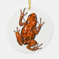 Poison Dart Frog Ornement