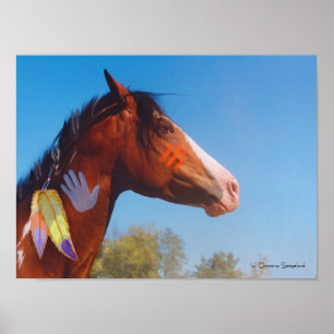 Poison de guerre Paint cheval Plumes Poster
