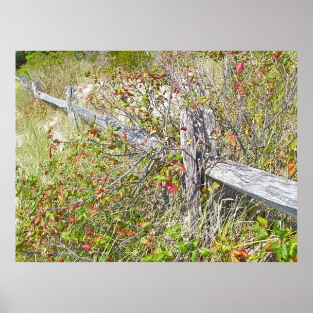 Poison et clôture Ivy IBSP NJ Poster (Devant)