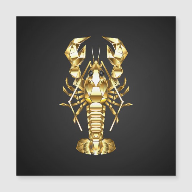 Poisson à langouste polygonale dorée sur noir (Devant)