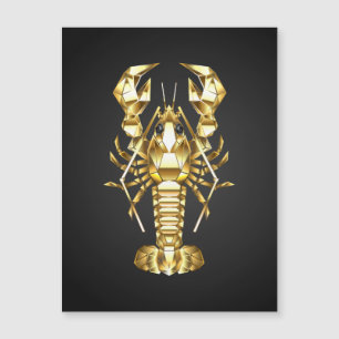 Poisson à langouste polygonale dorée sur noir