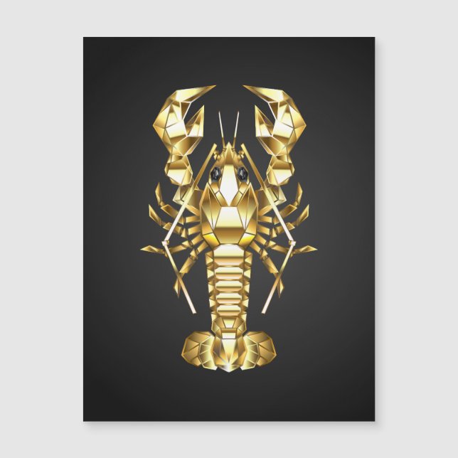 Poisson à langouste polygonale dorée sur noir (Devant)