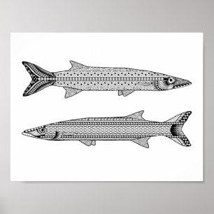Poisson Barracuda Poster Coloriage Adulte