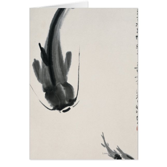 Poisson-chat chinois (Devant)