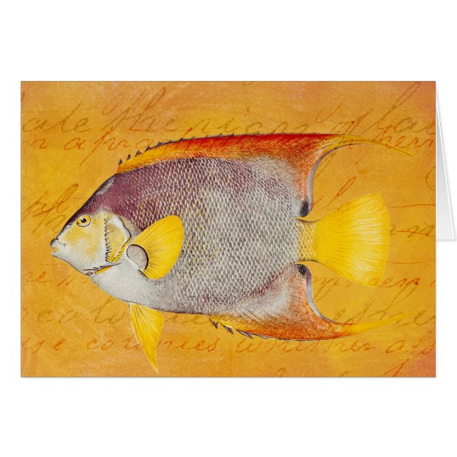 Poisson d'Ange Hawaïen Vintage - Hawaii antique (Devant horizontal)