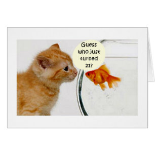 POISSON DEMANDE À KITTEN QUI EST "21"