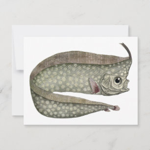 Poisson d'Oarfish vintage, Vie aquatique marine