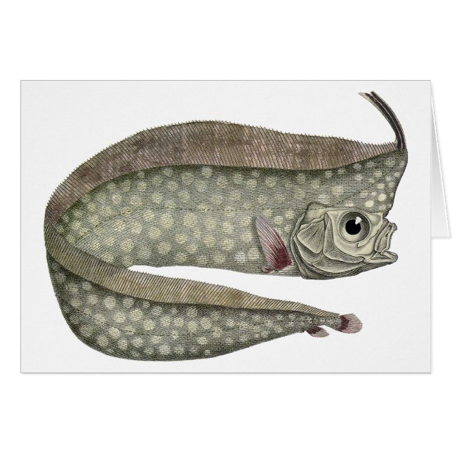 Poisson d'Oarfish vintage, Vie aquatique marine (Devant horizontal)