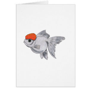 Poisson d'or blanc et orange Oranda Aquarium Poiss