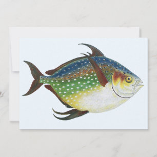 Poisson Opah Tropical, Animal Marin Aquatique Vint