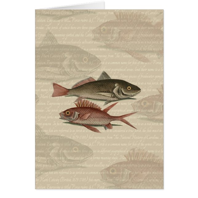 Poisson Perche Rouge Pêcheur d'Art (Devant)