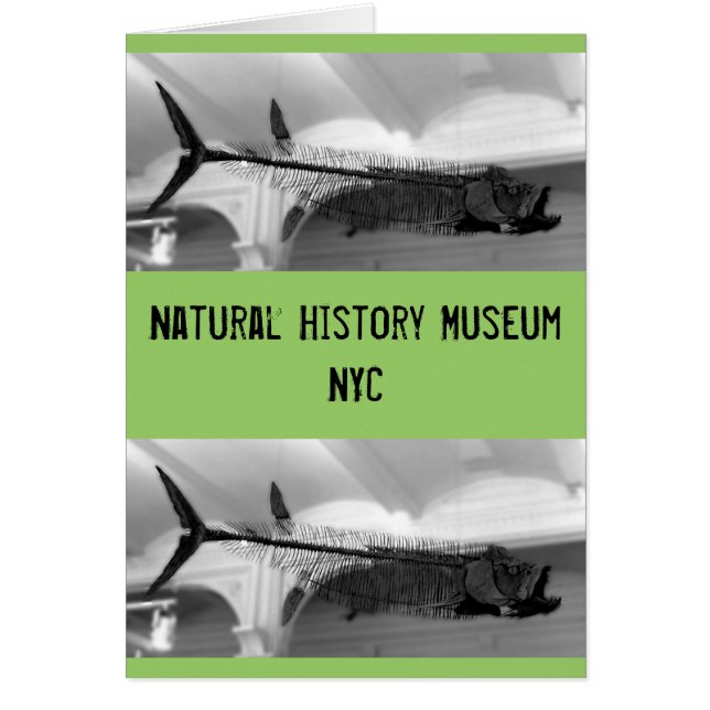 Poisson préhistorique B+W (Devant)