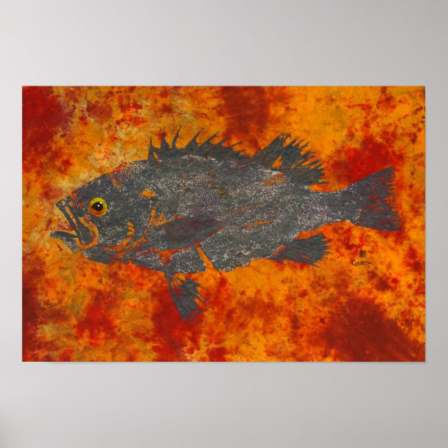 Poisson-roche molle - Poster 19" x 13" (Devant)