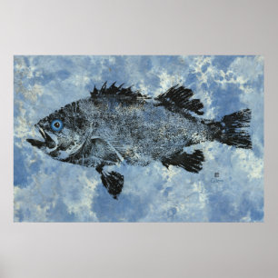 Poisson-roche noir sur bleu - Poster de 36 po x 24