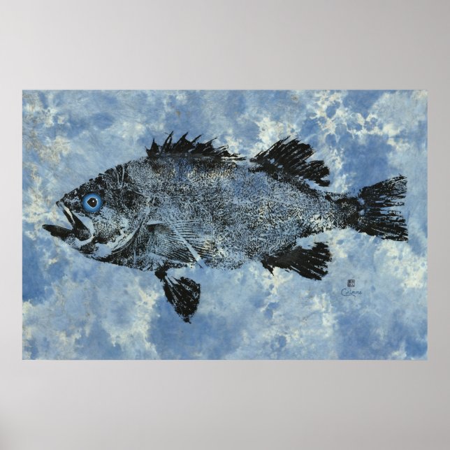 Poisson-roche noir sur bleu - Poster de 36 po x 24 (Devant)