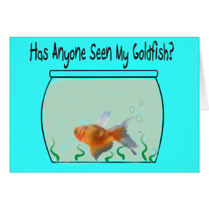 Poisson rouge et cuvette drôles