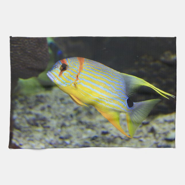 Poisson Serviettes de cuisine (Horizontal)