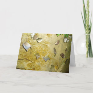 "Poisson Tropical" Carte de puits