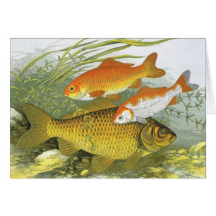 Poisson vintage Koi Poisson, Marine Aquatique Vie