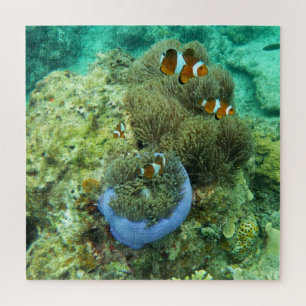 Poissons clowns Puzzle