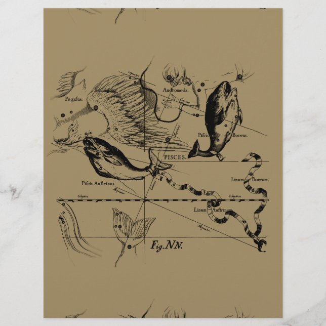 Poissons Constellation Hevelius 1690 Décor (Devant)