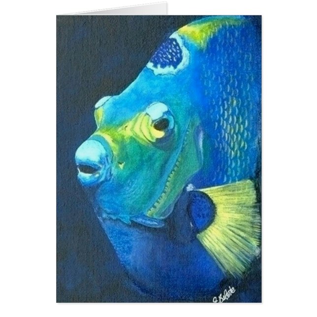 Poissons d'ange de la Reine (Devant)