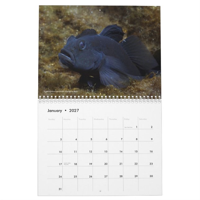 Poissons d'eau douce de calendrier du Mexique 2011 (Jan 2027)