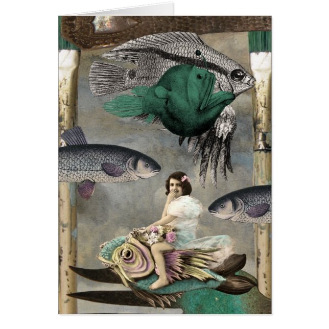 Poissons Partout (Devant)