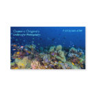 Poissons tropicaux du carte de visite de mer de