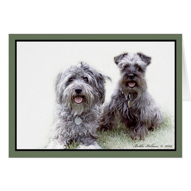 Poivre et Bruno (Devant horizontal)