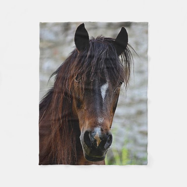 Polaire Belle couverture Brown d'ouatine de cheval (Devant)