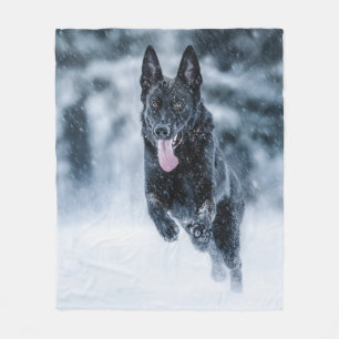 Polaire Berger allemand noir dans la couverture de duvet d