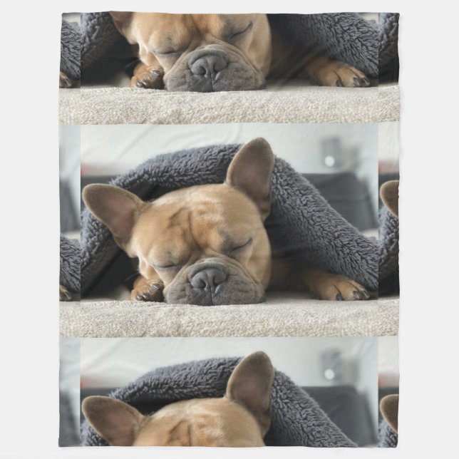 Polaire boule dogue français sous la couverture  (Devant)