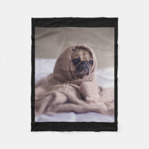 Polaire Carlin Dans Couverture Cute Carlin Amoureux des ch