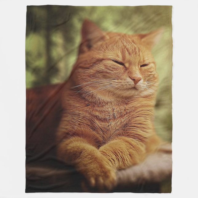 Polaire Chat orange somnolent sur la grande couverture (Devant)