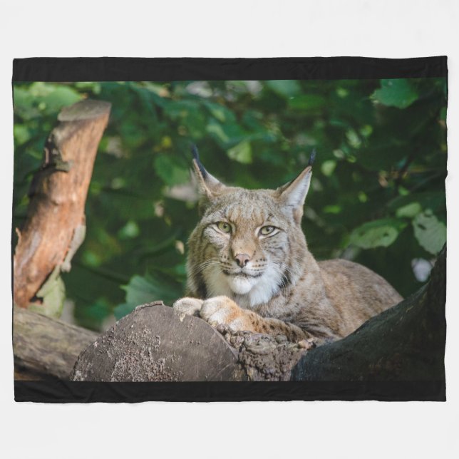 Polaire Chat sauvage de Lynx sur la couverture d'ouatine (Devant (Horizontal))