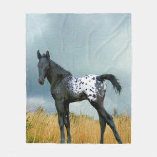 Polaire Cheval - couverture d'ouatine de colt d'Appaloosa