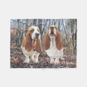 Polaire Chiens de Basset Hound dans la couverture