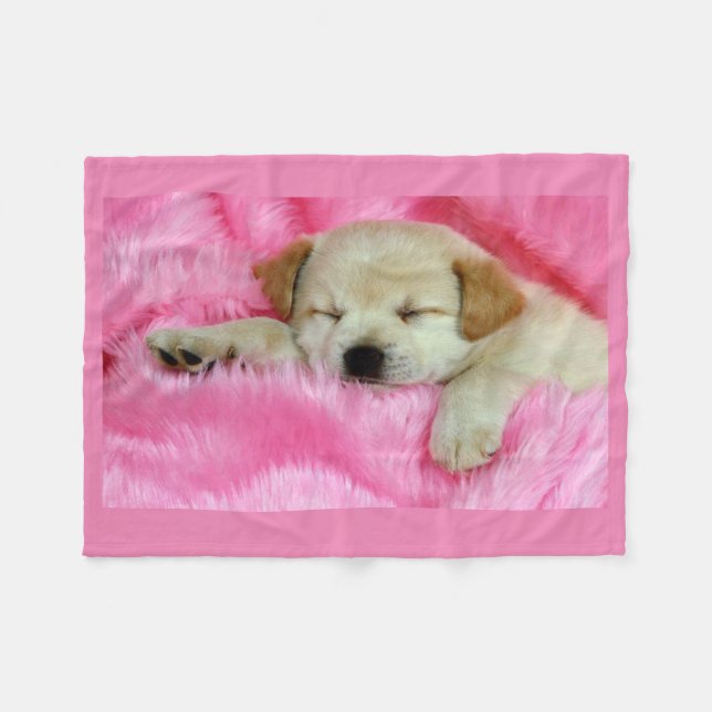 Polaire Chiot dormant sur la couverture rose d'ouatine (Devant (Horizontal))