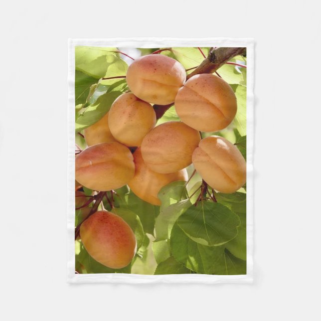 Polaire Couverture ADOM Frais Été Abricot (Devant)