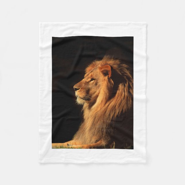 Polaire Couverture africaine dramatique d'ouatine de (Devant)