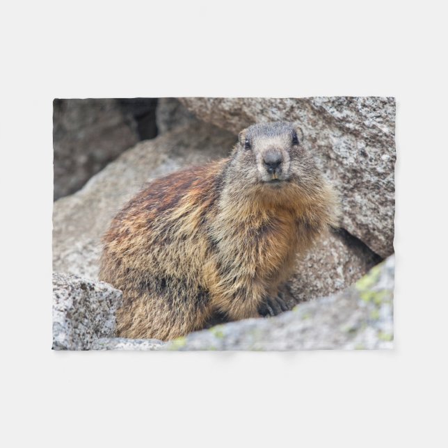 Polaire Couverture alpine d'ouatine de Marmot (Devant (Horizontal))