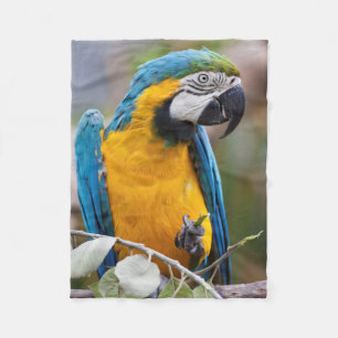Polaire Couverture bleue et jaune de Sherpa d'ara