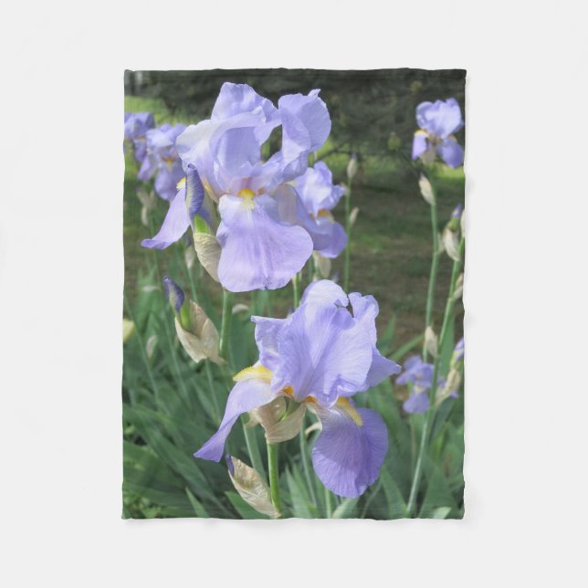 Polaire Couverture bleue Irises pour les amateurs de fleur (Devant)