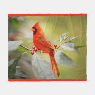 Polaire Couverture cardinale d'ouatine d'oiseau