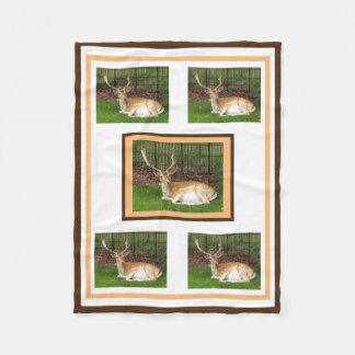 Polaire Couverture de la flotte de cerfs en jachère